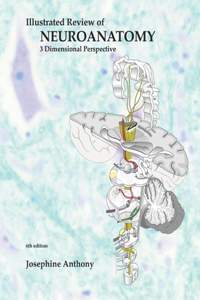 Illustrated Review of Neuroanatomy