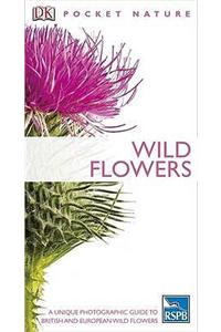 Wild Flowers