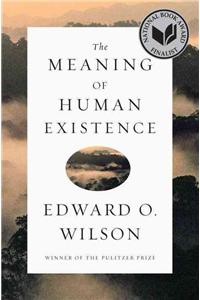 The Meaning of Human Existence