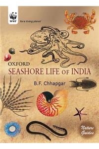 Seashore Life of India