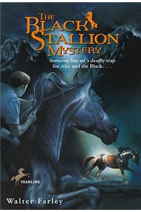 The Black Stallion Mystery