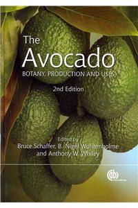 The Avocado