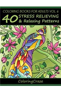 Coloring Books For Adults Volume 6