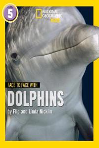 Face to Face with Dolphins