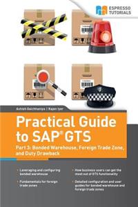 Practical Guide to SAP GTS