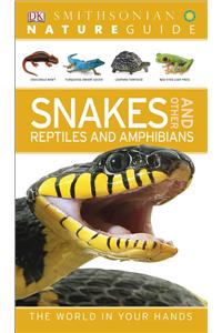 Nature Guide: Snakes and Other Reptiles and Amphibians