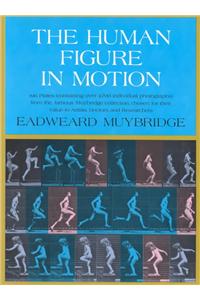 The Human Figure in Motion