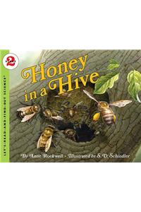 Honey in a Hive