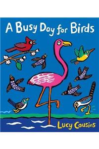 Busy Day for Birds