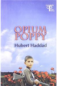 Opium Poppy