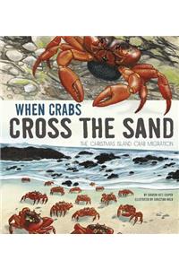 When Crabs Cross the Sand