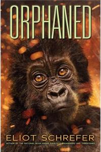 Orphaned (Ape Quartet #4)