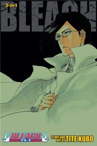 Bleach (3-In-1 Edition), Vol. 24, 24