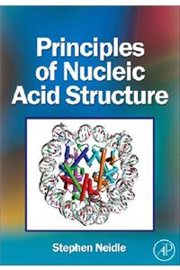 Principles of Nucleic Acid Structure