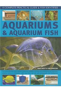 Aquariums and Aquarium Fish: A Complete Practical Guide & Fish Identifier