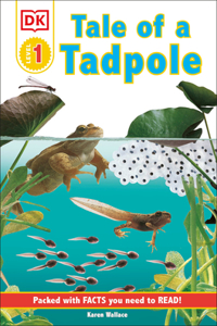 Tale of a Tadpole