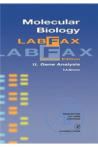 Molecular Biology Labfax