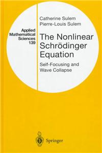 The Nonlinear Schrödinger Equation