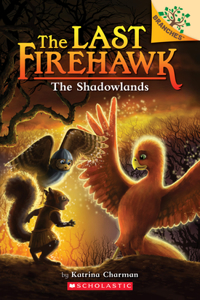 Shadowlands: A Branches Book (the Last Firehawk #5)