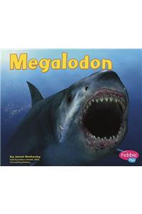 Megalodon