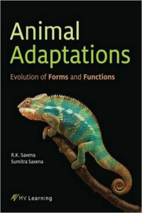 Animal Adaptations