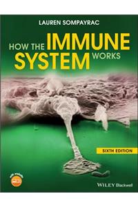 How the Immune System Works