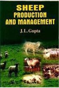 Sheep Production and Management