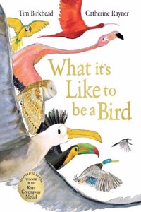 What it's Like to be a Bird