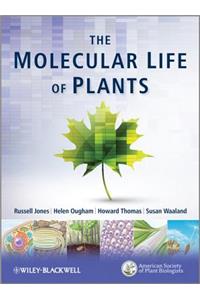 The Molecular Life of Plants