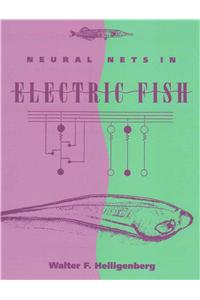 Neural Nets in Electric Fish