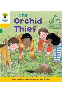 Oxford Reading Tree: Level 5: Decode and Develop The Orchid Thief