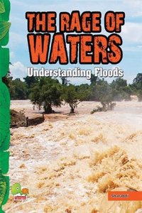 The Rage of Waters: Understanding Floods