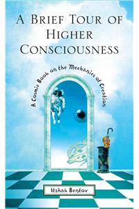 A Brief Tour of Higher Consciousness