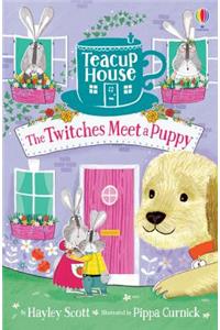 TEACUP HOUSE BOOK 3