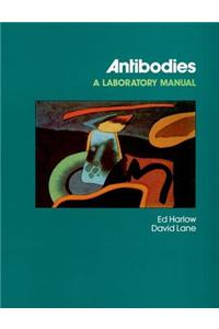 Antibodies