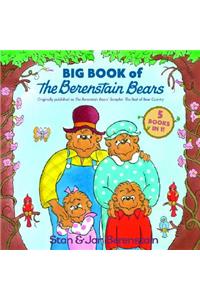 Big Book of the Berenstain Bears