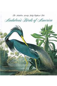 Audubon's Birds of America