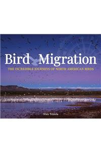 Bird Migration