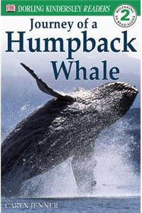 The Journey of a Humpback Whale