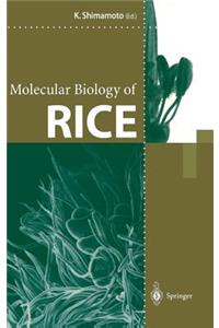 Molecular Biology of Rice