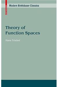 Theory of Function Spaces