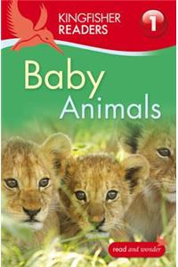 Kingfisher Readers: Baby Animals (Level 1: Beginning to Read)