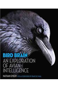 Bird Brain