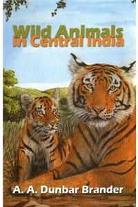 Wild Animals in Central India