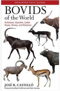 Bovids of the World