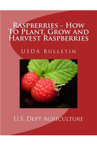 Raspberries - How To Plant, Grow and Harvest Raspberries