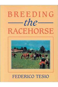 Breeding the Racehorse