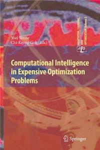 Computational Intelligence in Expensive Optimization Problems