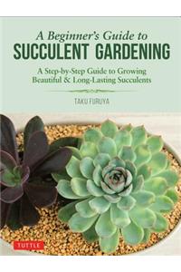 A Beginner's Guide to Succulent Gardening