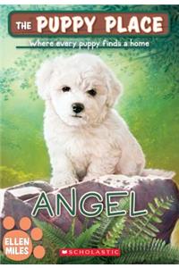 Angel (the Puppy Place #46)